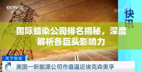 国际蜡染公司排名揭秘,深度解析各巨头影响力