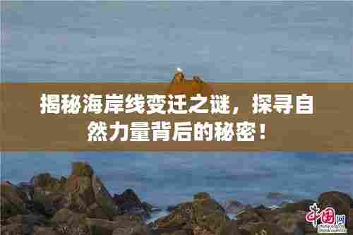 飞檐走壁 第7页