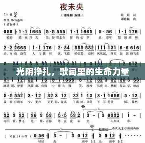 光阴挣扎，歌词里的生命力量
