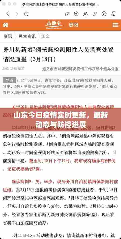 山东今日疫情实时更新，最新动态与防控进展