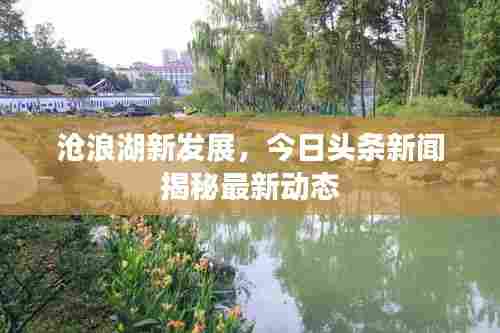 沧浪湖新发展，今日头条新闻揭秘最新动态