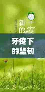 牙疼下的坚韧与成长，励志语录唤醒心灵的力量
