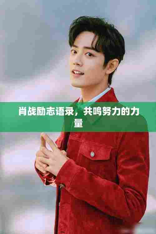 肖战励志语录，共鸣努力的力量