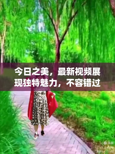 今日之美，最新视频展现独特魅力，不容错过！