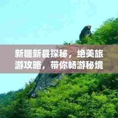 夫贵妻荣 第6页