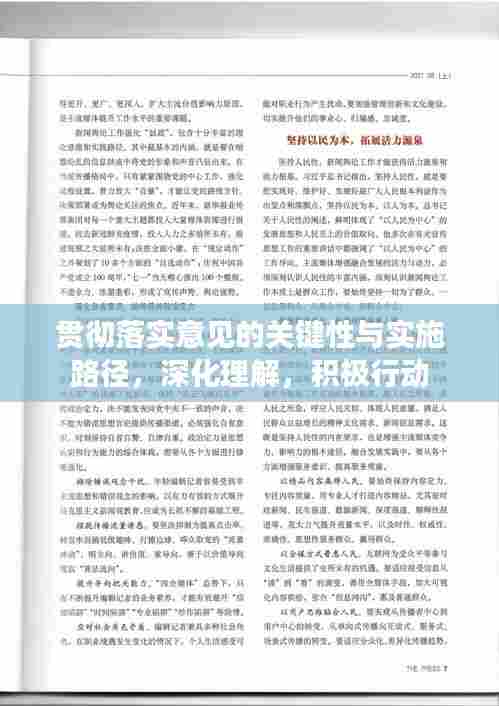 贯彻落实意见的关键性与实施路径，深化理解，积极行动