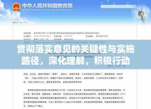 贯彻落实意见的关键性与实施路径,深化理解,积极行动