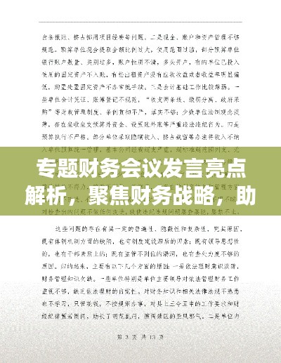 专题财务会议发言亮点解析，聚焦财务战略，助力企业发展！
