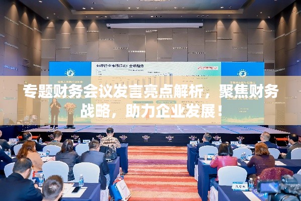 专题财务会议发言亮点解析,聚焦财务战略,助力企业发展!