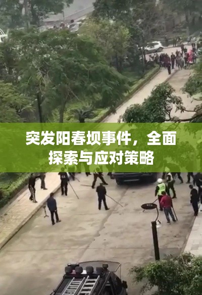 突发阳春坝事件，全面探索与应对策略
