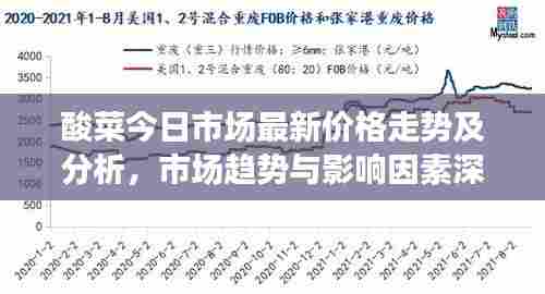 酸菜今日市场最新价格走势及分析，市场趋势与影响因素深度解读