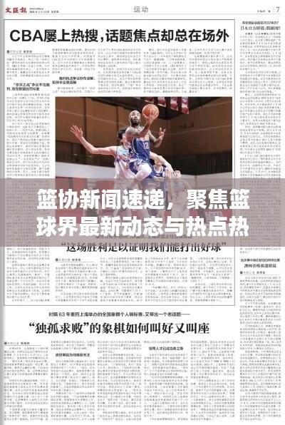 篮协新闻速递,聚焦篮球界最新动态与热点热议