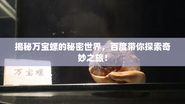 揭秘万宝螺的秘密世界，百度带你探索奇妙之旅！