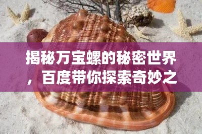 揭秘万宝螺的秘密世界,百度带你探索奇妙之旅!