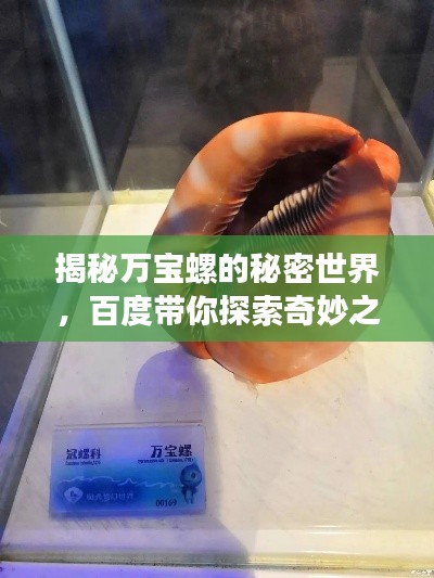 揭秘万宝螺的秘密世界,百度带你探索奇妙之旅!