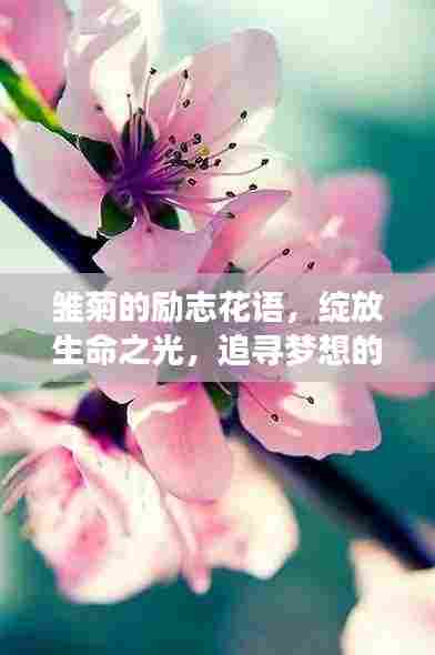 贵人多忘事 第5页