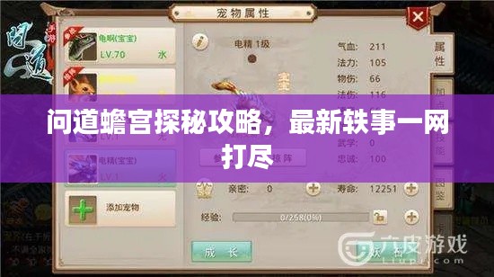 问道蟾宫探秘攻略,最新轶事一网打尽