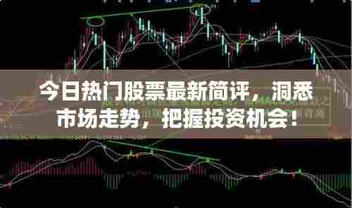 今日热门股票最新简评，洞悉市场走势，把握投资机会！