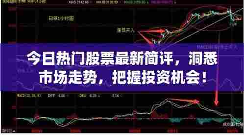 今日热门股票最新简评,洞悉市场走势,把握投资机会!