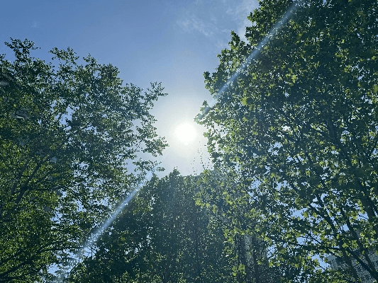 太阳当空照各种版本，神器软件实地研究解释定义_1440p1_v6.637深度解析