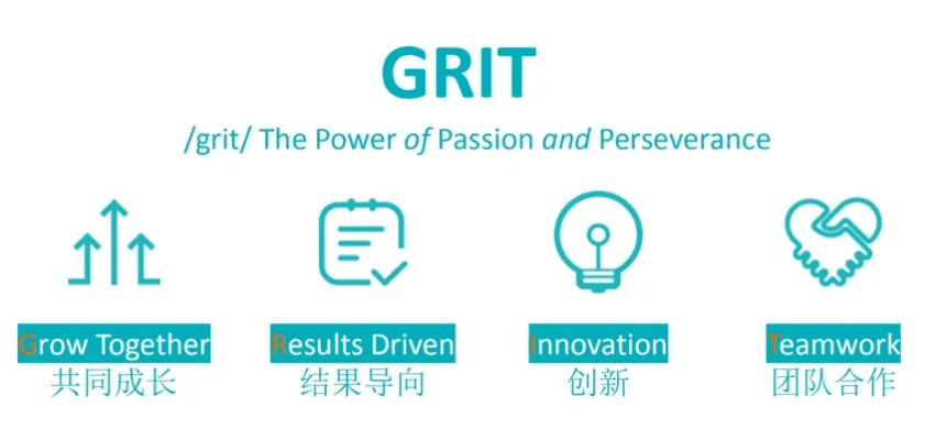 ght官方下载,创新解析执行策略 进阶版_v2.588