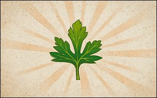 艾草动画官方下载,迅捷解答计划落实 HD_v3.544