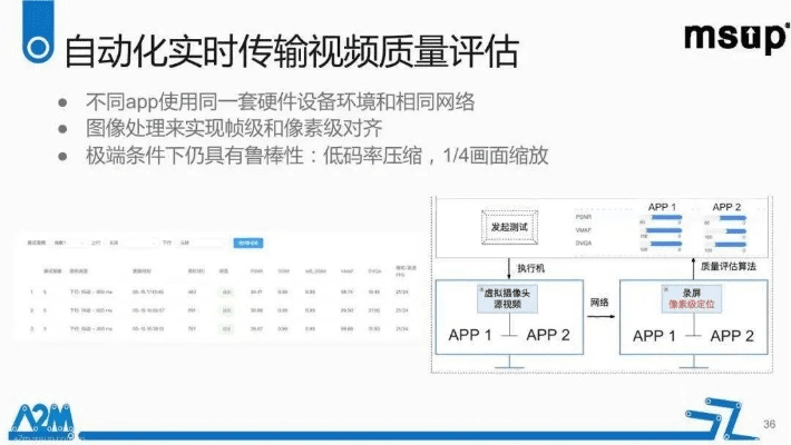MG官方软件下载，专业级工具的综合评估与说明