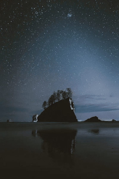 优美壁壁纸官方下载,合理执行审查&amp;顶级款_v4.500