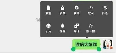 微信聊天版本,动态词汇解析-尊贵款_v1.852