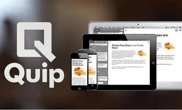 quip官方下载,最新动态解答方案 专业款1_v6.269