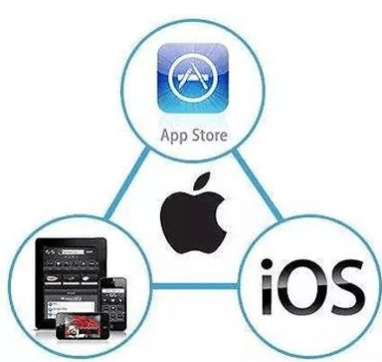 贵险贱璧 第5页