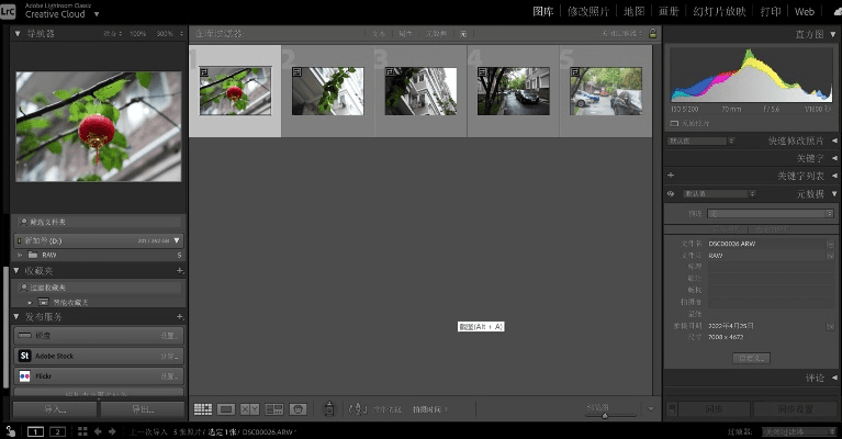 官方lr下载,最新动态方案-进阶版_v6.307