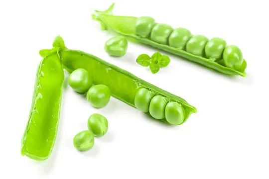 观往知来 第5页