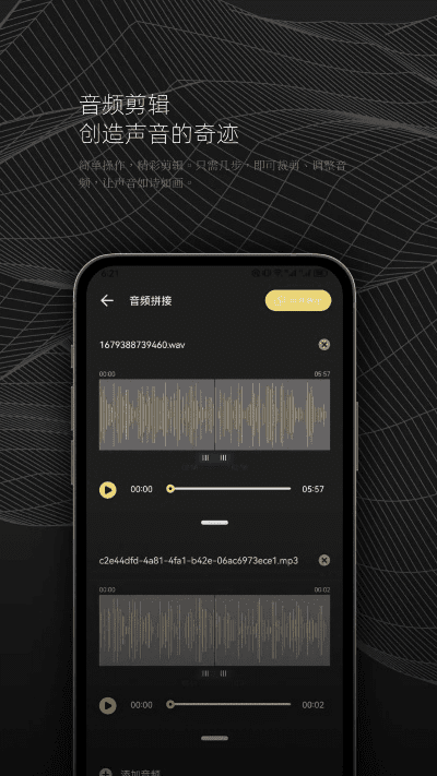 世纪之音官方下载,动态调整策略执行 黄金版1_v3.589