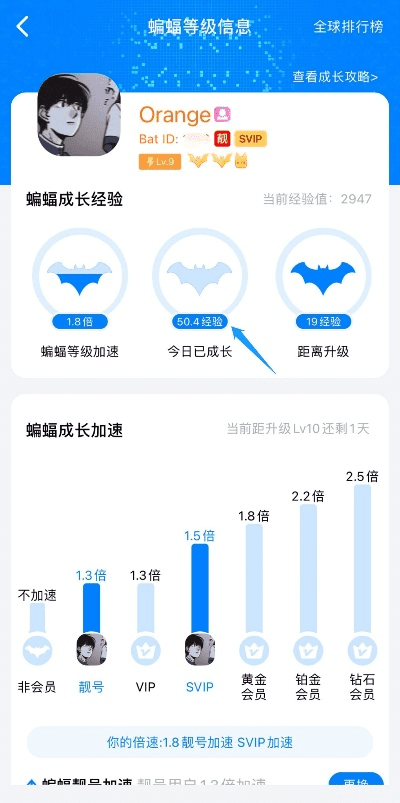蝙蝠直播下载最新版本，数据整合执行计划_储蓄版_v10.472——直播领域的隐藏宝藏