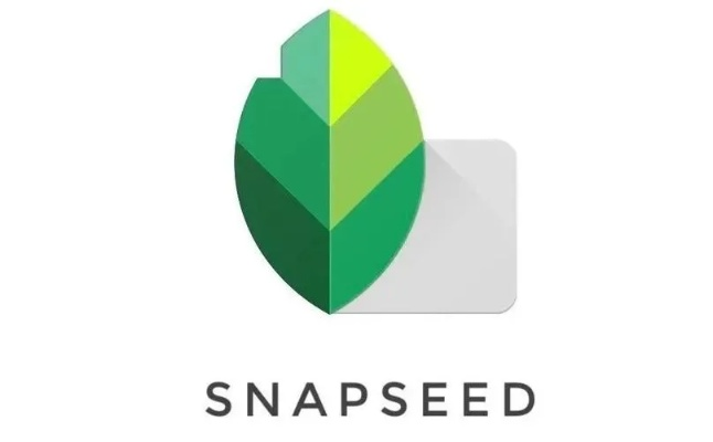 Snapseed下载官方版,同使命行动内测激活码实践策略解析