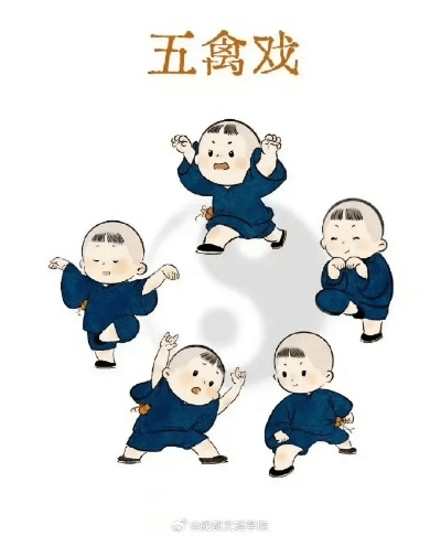 官方下载蜜蜂出行跟五禽戏的版本,经典解读说明_移动版_v2.213