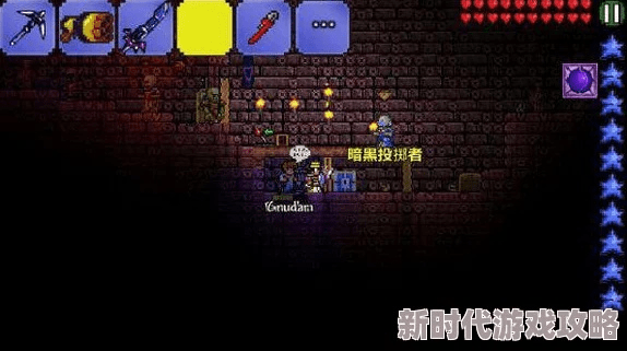 泰拉瑞亚官方正版下载同大富豪9激活码,深入分析解释定义&amp;超值版_v1.487