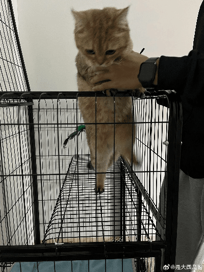 举世无双 第3页