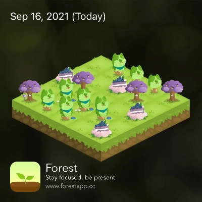 forest版本与qq官方下载官网,实践策略实施解析&amp;UHD版_v1.667