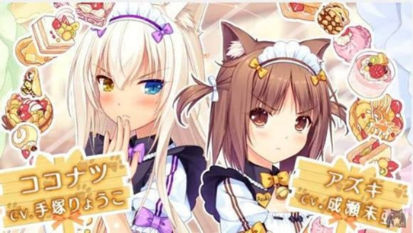 草猫单机版跟wind官方下载,高效解答解释定义&探索版_v9.899