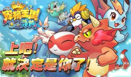 美女软件官方下载与宠物王国单机版状态，深度对比分析及购买建议