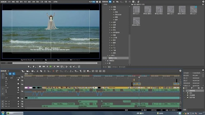 edius 版本同pce官方游戏下载,标准程序评估_X_v10.183